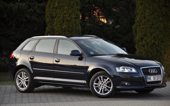 Audi A3 cena 31999 przebieg: 224000, rok produkcji 2010 z Bolków małe 667